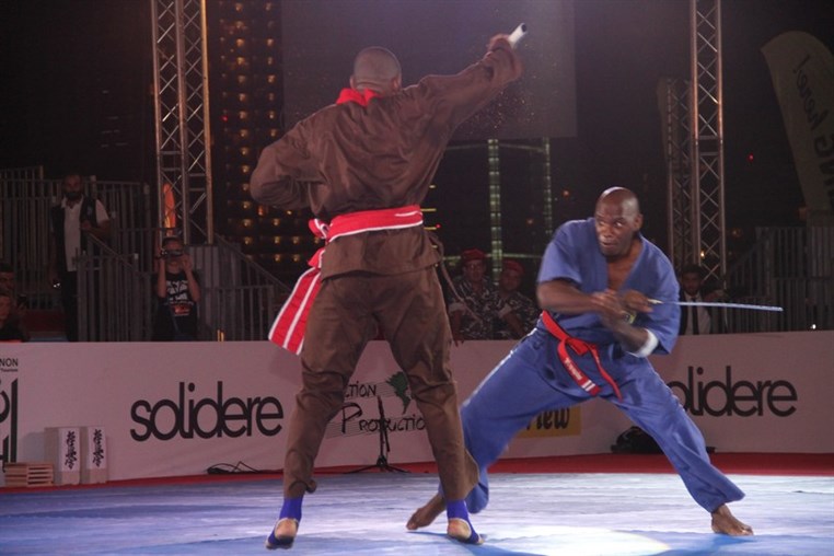 Martial Arts Festival